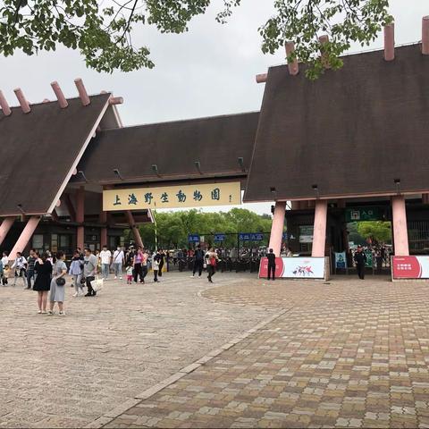 20230521 上海野生动物园 - 上一次大概7年前