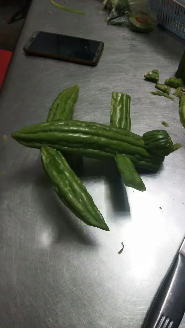 宝贝们制作的手工《苦瓜大变身》