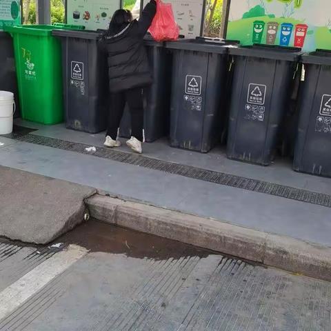 垃圾分类在行动