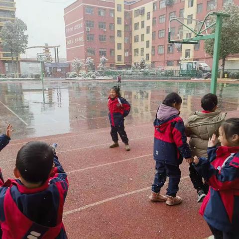 龙年的第一场雪❄