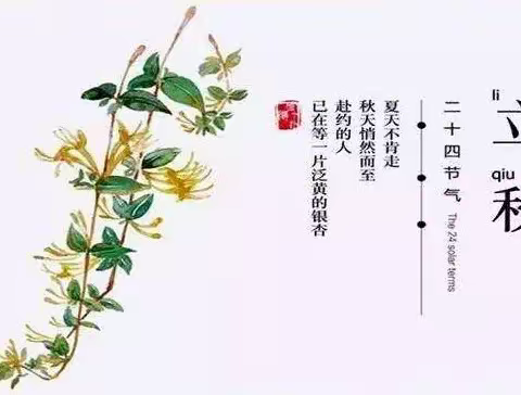 追寻秋之美