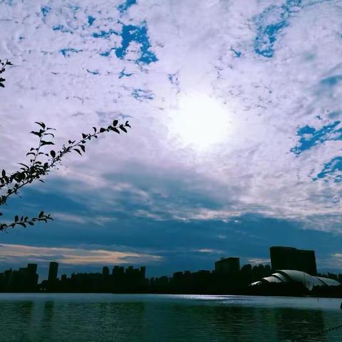 以爱之名  为你写诗