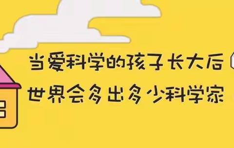 停课不停学，我们爱科学！  ——走进十六小师生的科学课旅