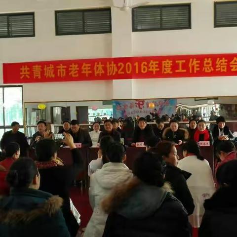 2016年共青城市老年体协工作总结会