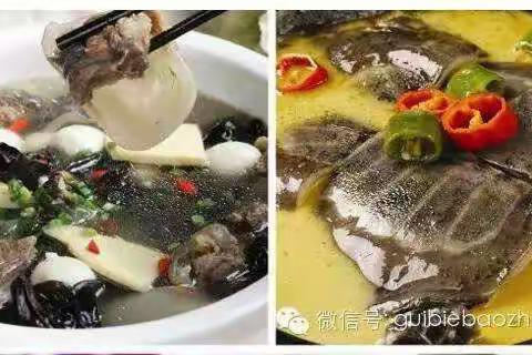 美食推荐――甲鱼宴（泰福酒楼）