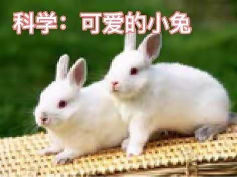 化龙桥幼儿园小班组活动分享10.10