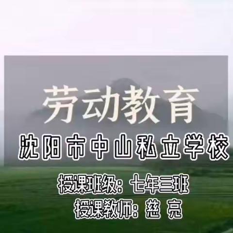 沈阳市中山私立学校线上劳动教育课——“多彩水果拼盘，点燃劳动热情”