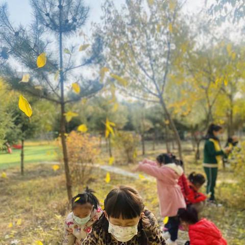 🍂落叶之秋，微风徐来…🍂，梦之翼幼儿园寄给您一封秋天的信，请签收…