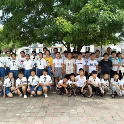 绿荫树下，我们毕业了！