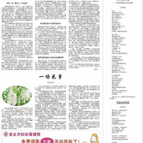 再说夏家沟的革命英雄故事（一）