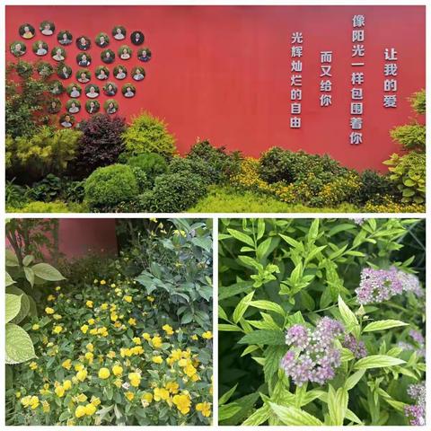 展英语魅力  秀自我风采--西工区东下池小学英语剧展演