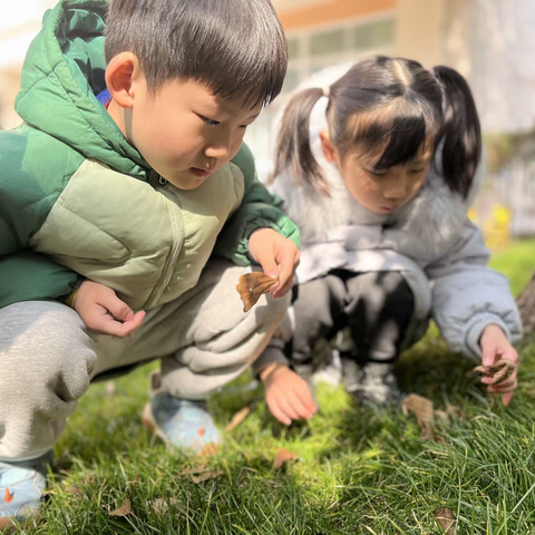 你好，香樟树！