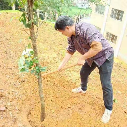 弘扬生态文明 ，共建绿色校园——党员教师活动日