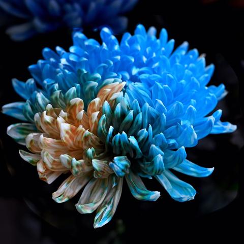 家庭教育最大的愚蠢，就是挑剔孩子，不停地挑剔孩子……