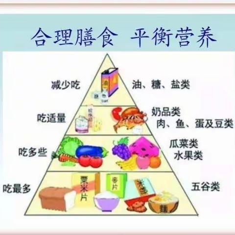 《合理的饮食》