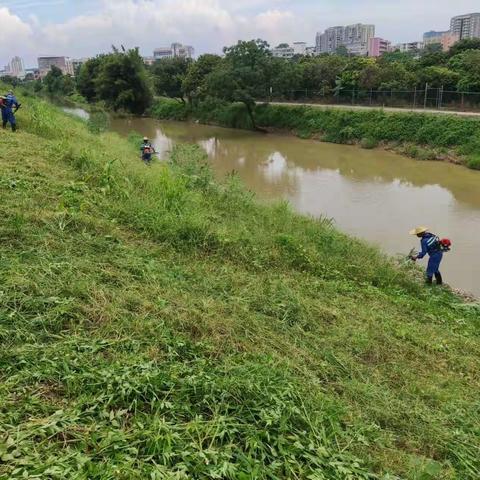 2022年7月19日钟落潭村三清三拆三整治每日工作简报