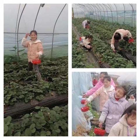 愉快的寒假生活