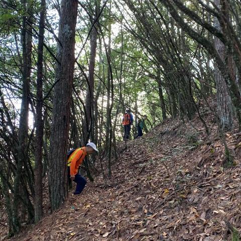 攀登华东最高峰散记