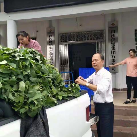 白沙供销集团公司助农增收保障市民“菜篮子”