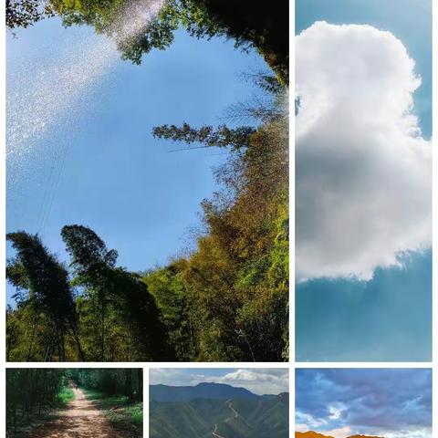 希拉里有多美？上了都心动过速