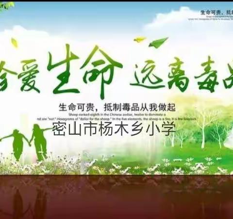 【密山市杨木乡小学】毒品预防教育，丰富学生假期生活。