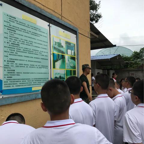 初生之犊——意气风发向前行