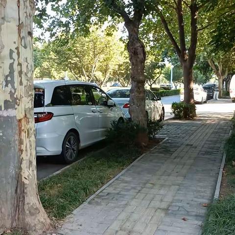 五绝·秋日听蝉鸣
