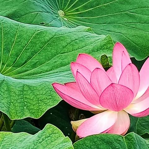 满庭芳·长亭闲步