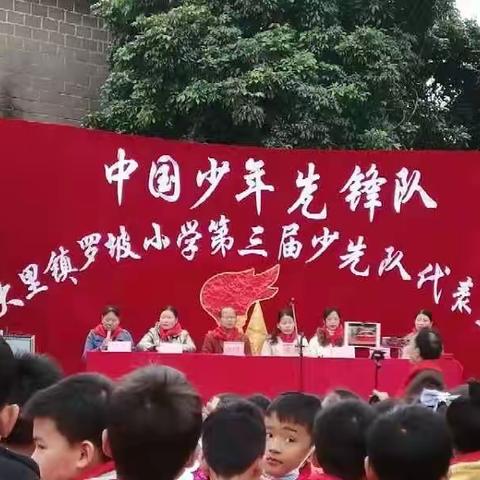 请党放心，强国有我——中国少年先锋队    北流市大里镇罗坡小学第三届代表大会的召开