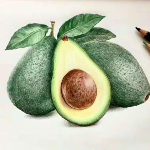 avocado