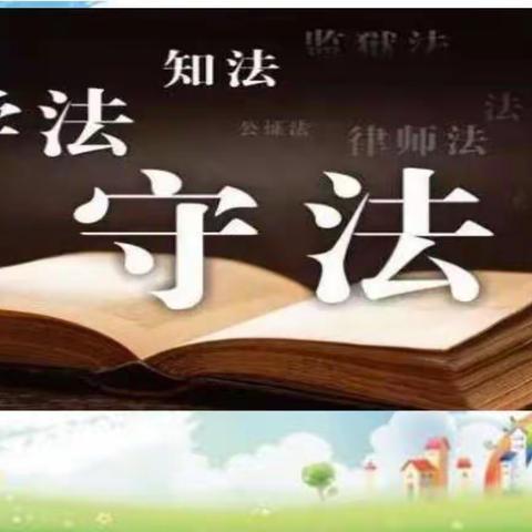 法律为我们保驾护航——武潭镇中学开展法治教育专题讲座