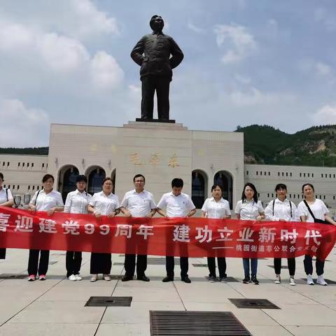 桃园街道非公联合党支部开展七一主题党日活动