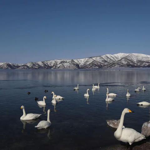 北海道之行  (六)（完）---- 阿寒 钏路