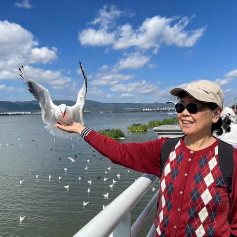 佳音的美篇