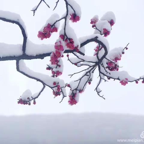 成语是汉语的一大特色，其意思精辟，极富表达力。学习成语不仅能增长知识，更能让人明白很多道理。