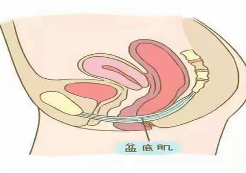 关于产后盆底肌恢复，最常见的5大误区一定要避开！
