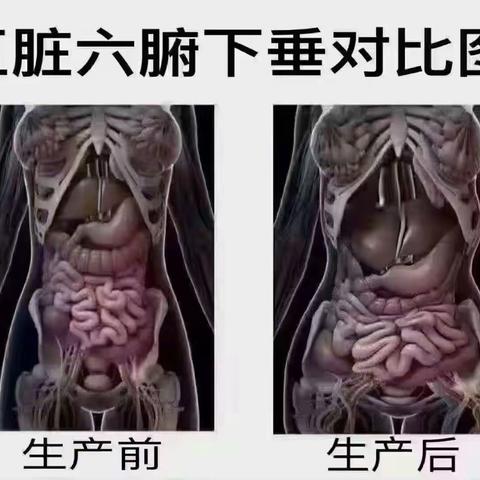 产后恢复＝产后减肥?不是这么简单的！