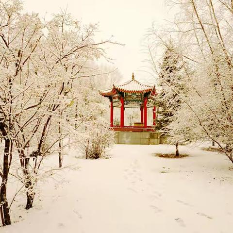 加格达奇2021春第一场雪