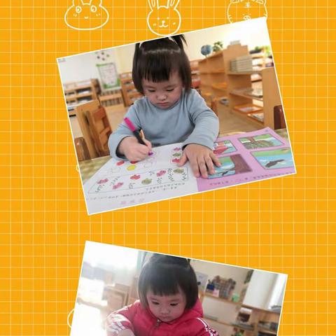 乐乐的成长之旅