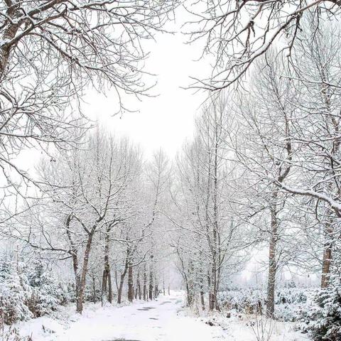 四月的青海 冰雪的世界