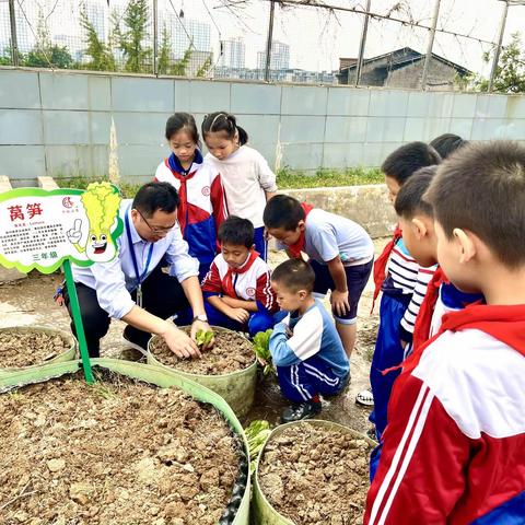 “快乐农耕  喜悦成长”—泸州市龙马潭区泸化小学校开展劳动实践活动