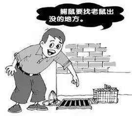 北京市密云区绿地德慧幼儿园春季灭鼠防鼠知识宣传活动