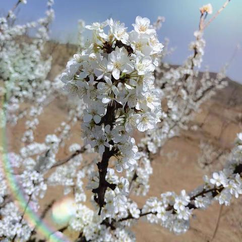 万物是你，你是自己⁽ⁿᵔᵕᵔⁿ⁾