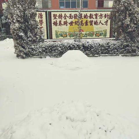 大雪满校园，扫雪暖人心