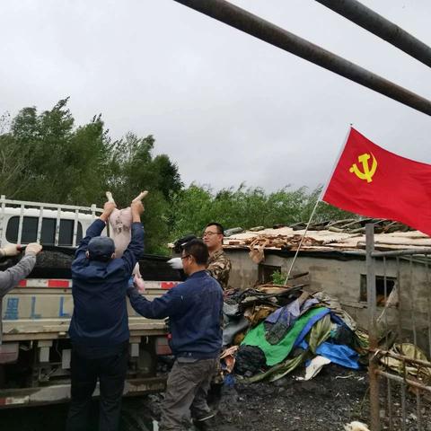 台风无情人有情 关键时刻找组织 依兰三矿机电运输区党支部帮助职工转移100余头猪