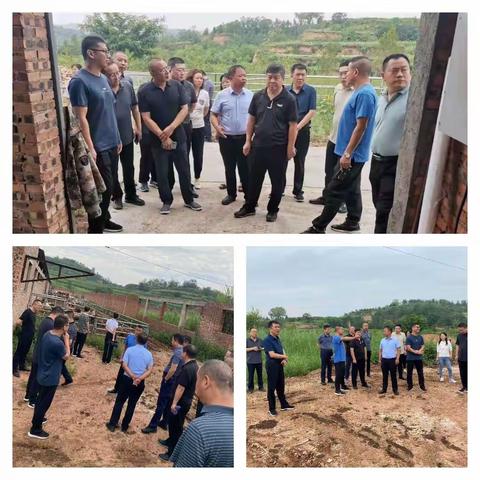 7月27日王村镇工作动态