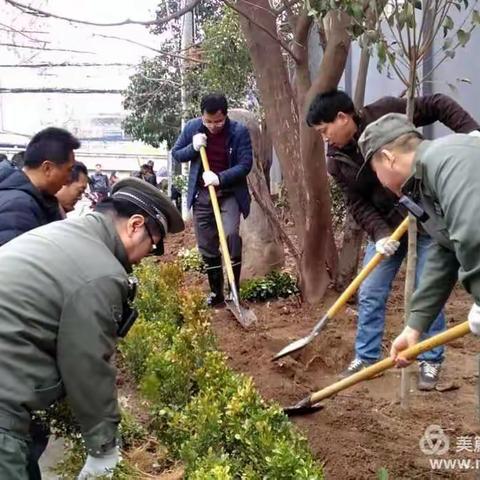 积极投身植树护绿建设绿色城区