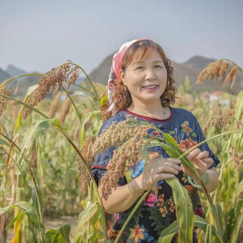 我家“九儿”（肖琳）走进高粱地