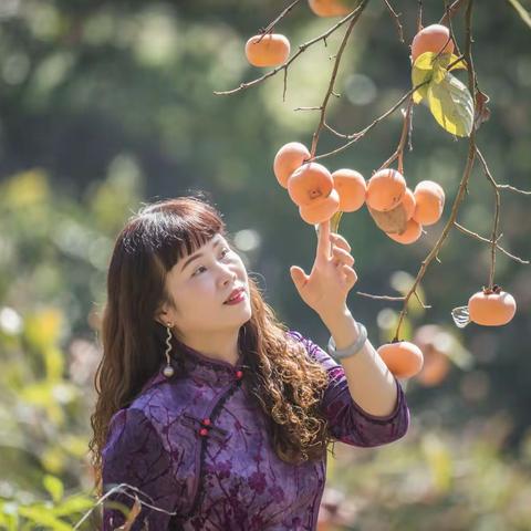 杨迪走进家乡大山观柿柿柿如意