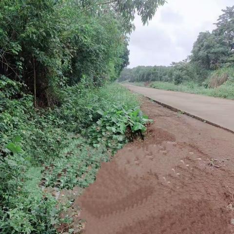 2023.4.10.建筑垃圾巡查日报（已整改）